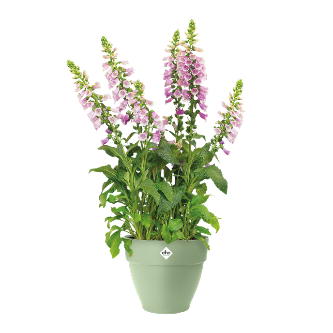 vibia campana rond 35cm vert pistache